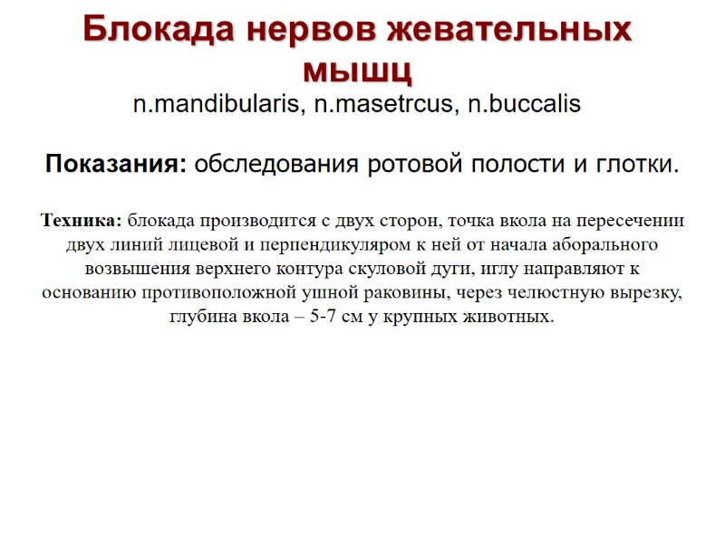 Блокада нервов жевательных мышц n.mandibularis, n.masetrcus, n.buccalis Показания: обследования ротовой полости и глотки. Блокада нервов жевательных мышц n.mandibularis, n.masetrcus, n.buccalis Показания: обследования ротовой полости и глотки.